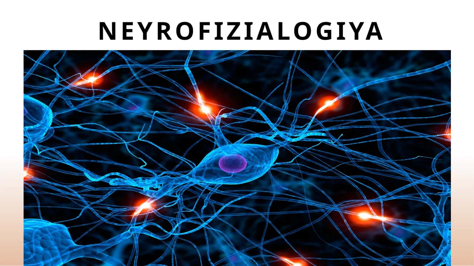 Neyrofizialogiya 1