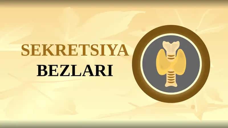 SEKRETSIYABEZLARI 1