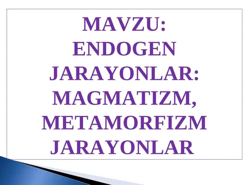 Endogen Jarayonlar: Magmatizm, Metamorfizm Jarayonlar 1