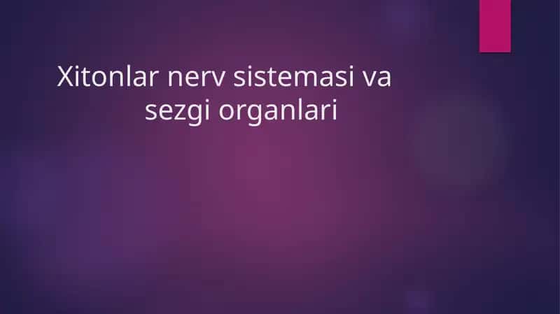 Xitonlarnervsistemasivasezgiorganlari 1