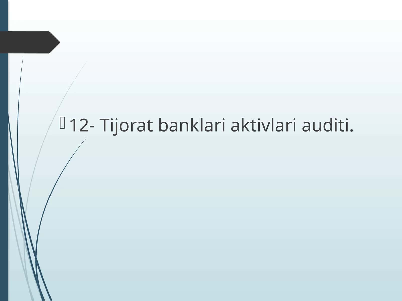 Kassa operatsiyalari auditi 1