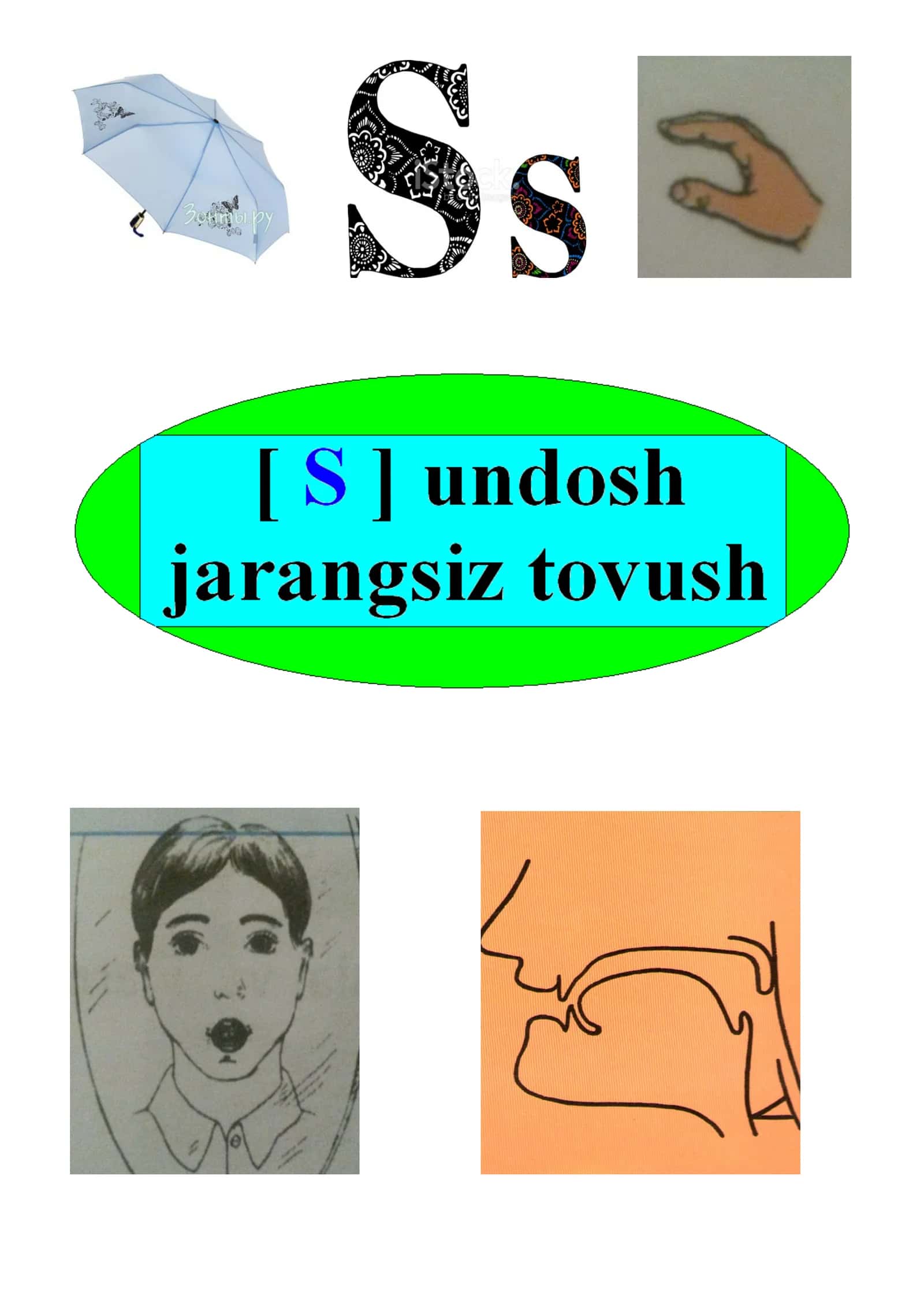 «S» harfiga o’xshash rasmlarni ko’rsating! 1