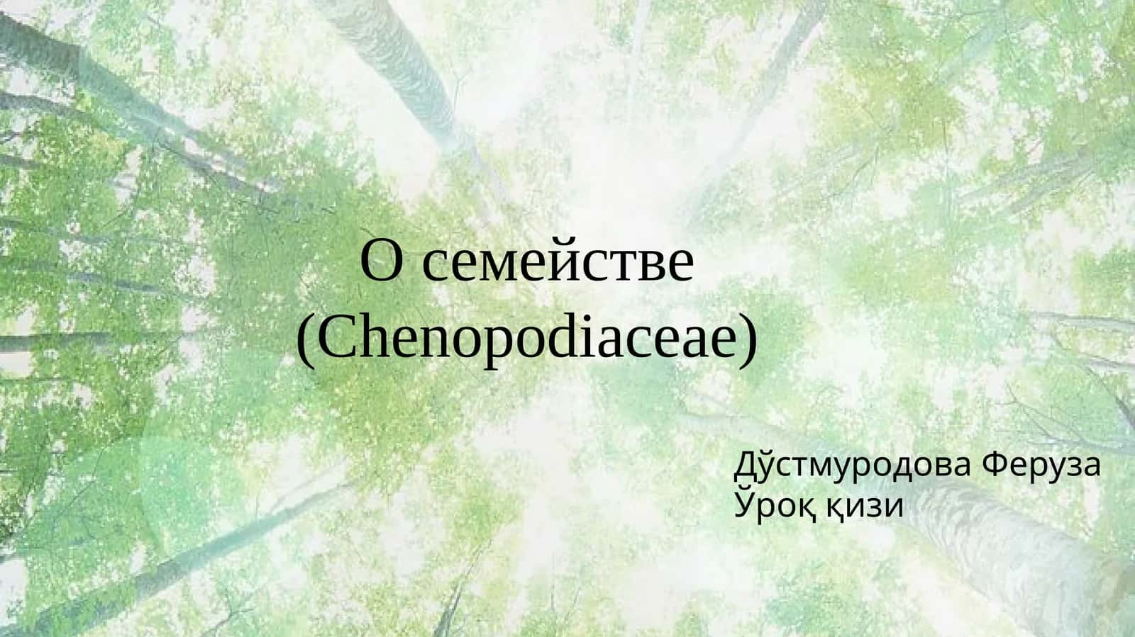 Маревые (Chenopodiaceae) 1
