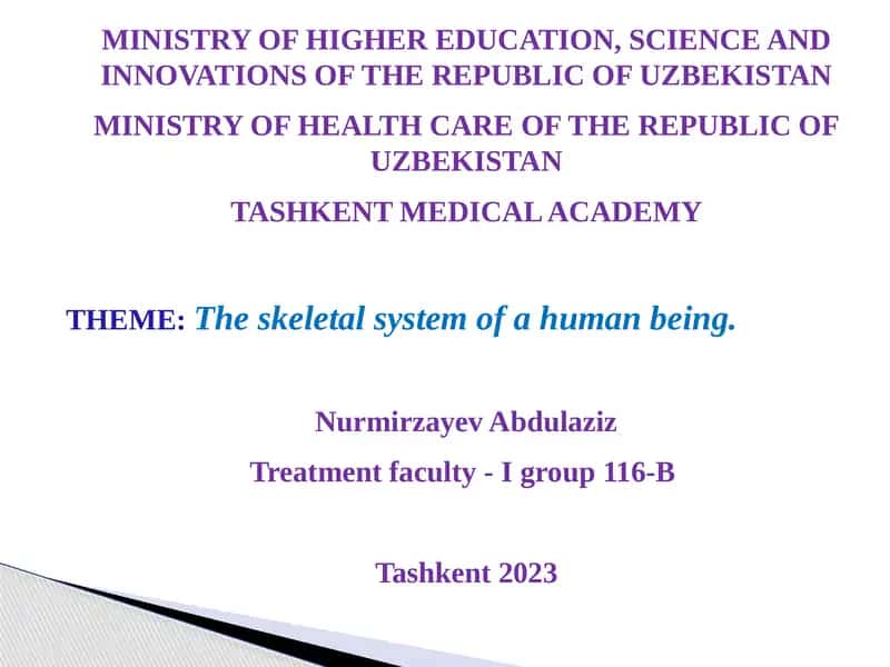 The skeletal system of a human being 1