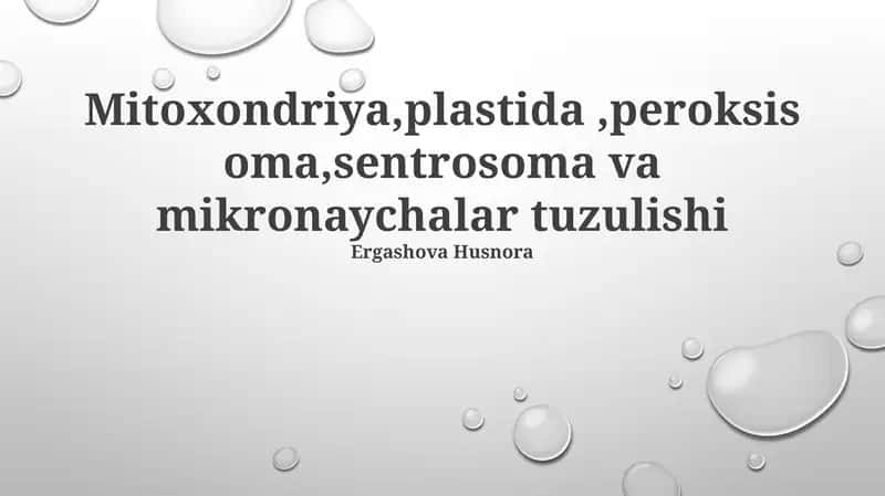 Mitoxondriya, Plastoidlar va Peroksisomalar tuzilishi 1