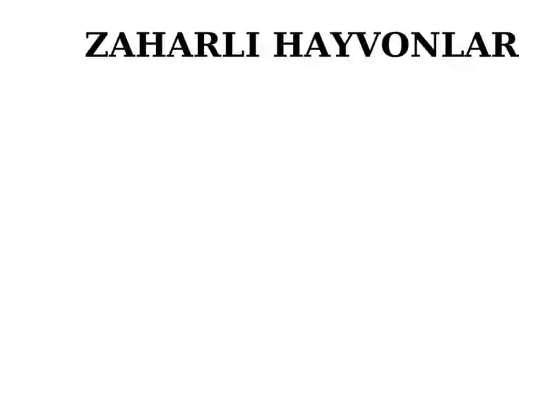 Zaharli hayvonlar