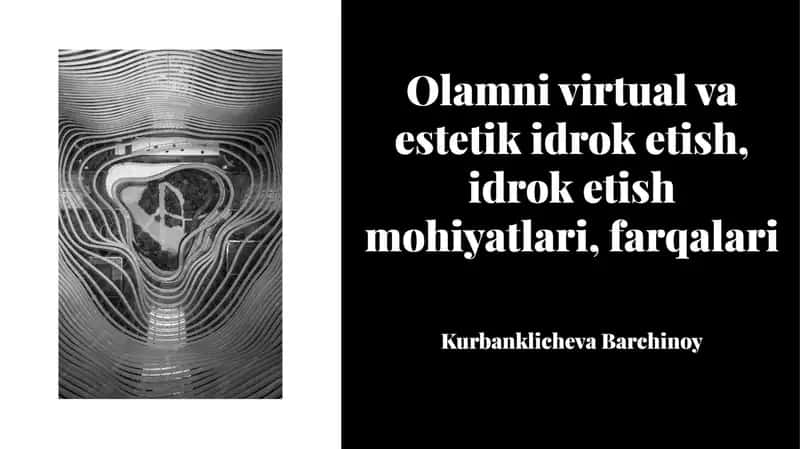 Olamni virtual va estetik idrok etish, idrok etish mohiyati farqlari 1