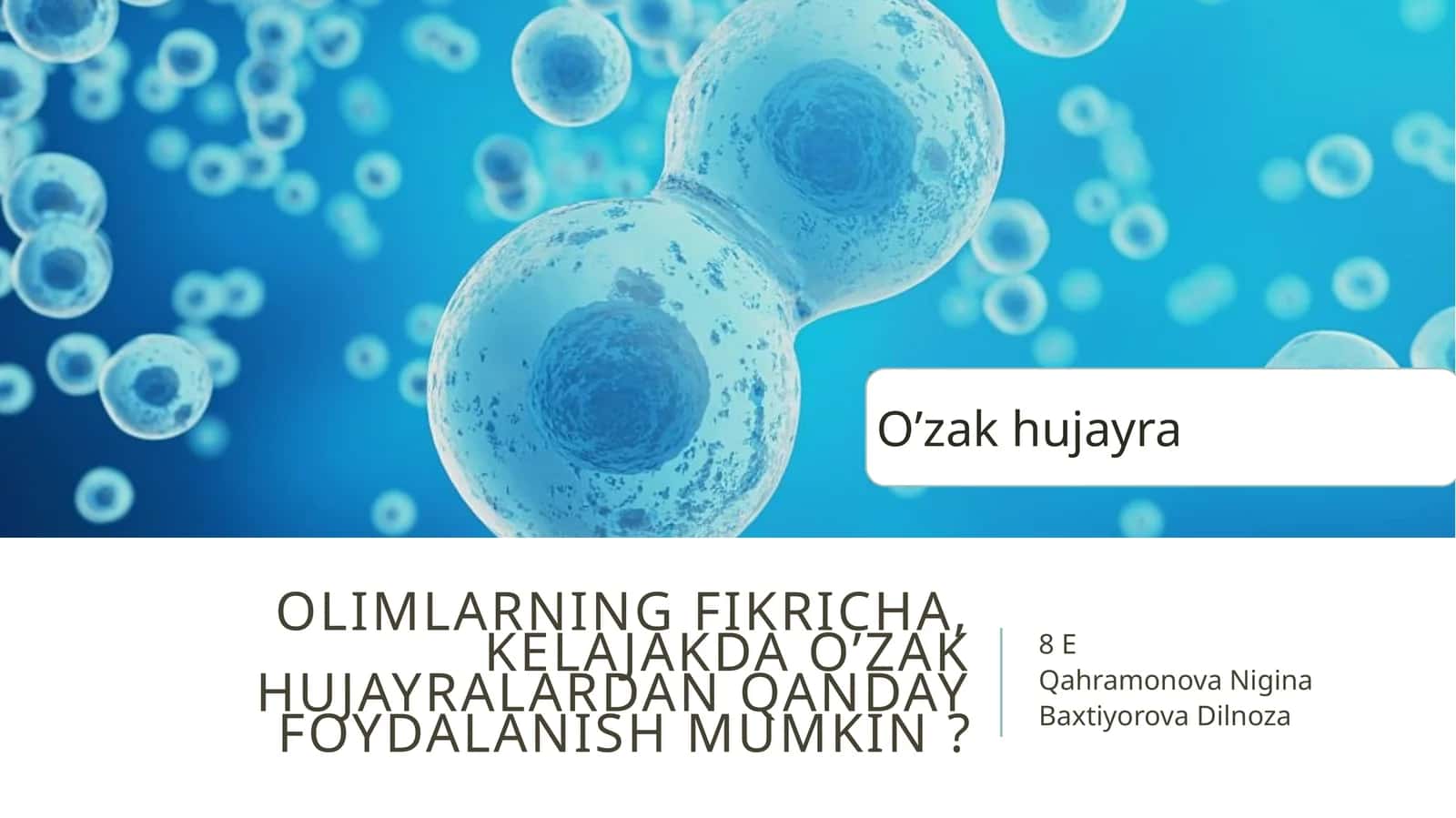 O'zak hujayralar haqida olimlarning fikri 1