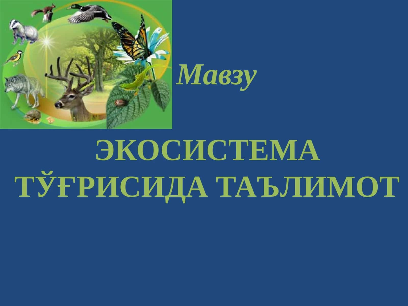 ЭКОСИСТЕМА ТЎҒРИСИДА ТАЪЛИМОТ 1