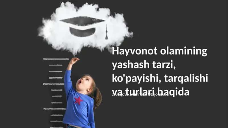 Yumshaq tanlilar 1