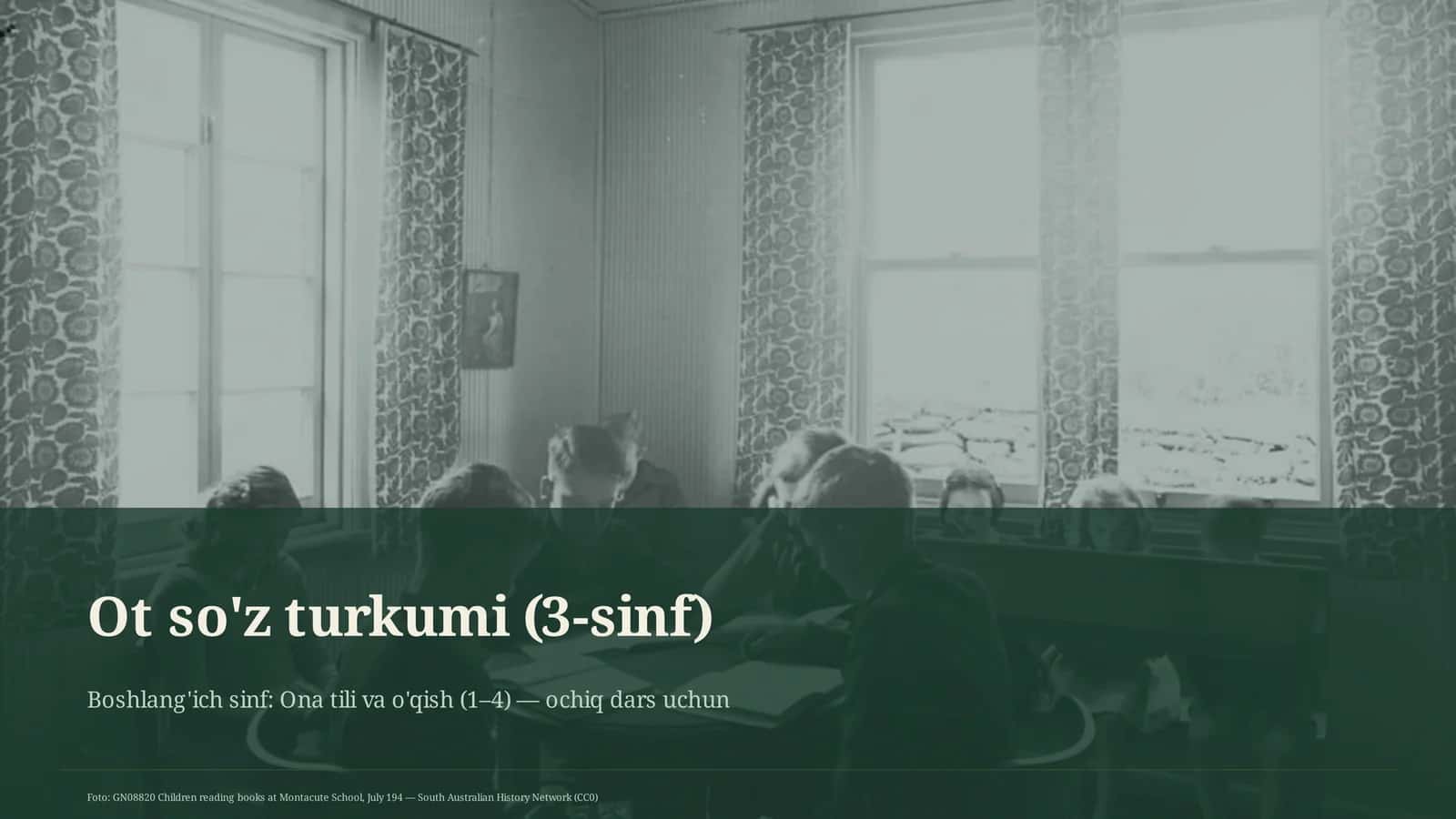 Ot so'z turkumi (3-sinf) 1