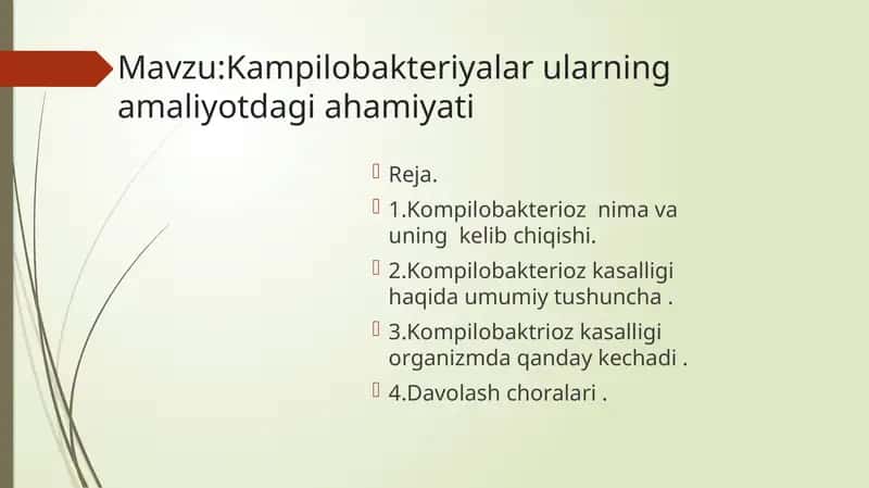 Kampilobakteriyalar ularning amaliyotdagi ahamiyati 1