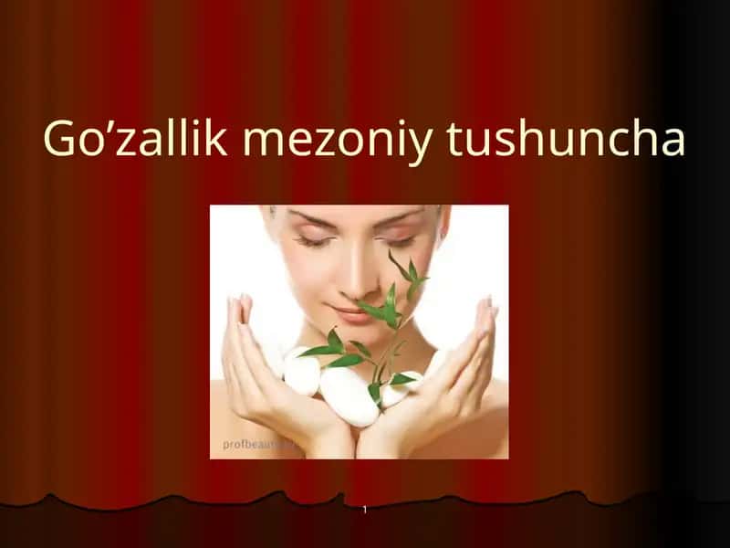 Go’zallikmezoniytushuncha 1