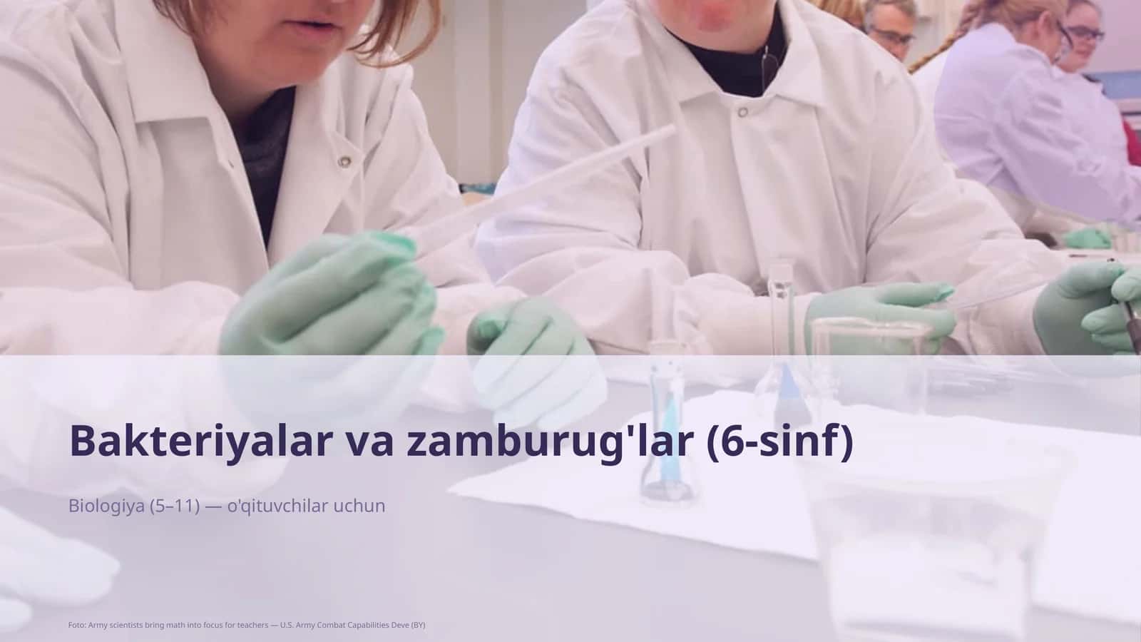 Bakteriyalar va zamburug'lar (6-sinf) 1