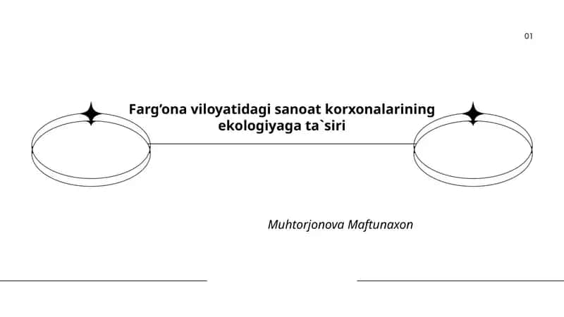 Farg’ona viloyatidagi sanoat korxonalarining ekologiyaga ta`siri 1