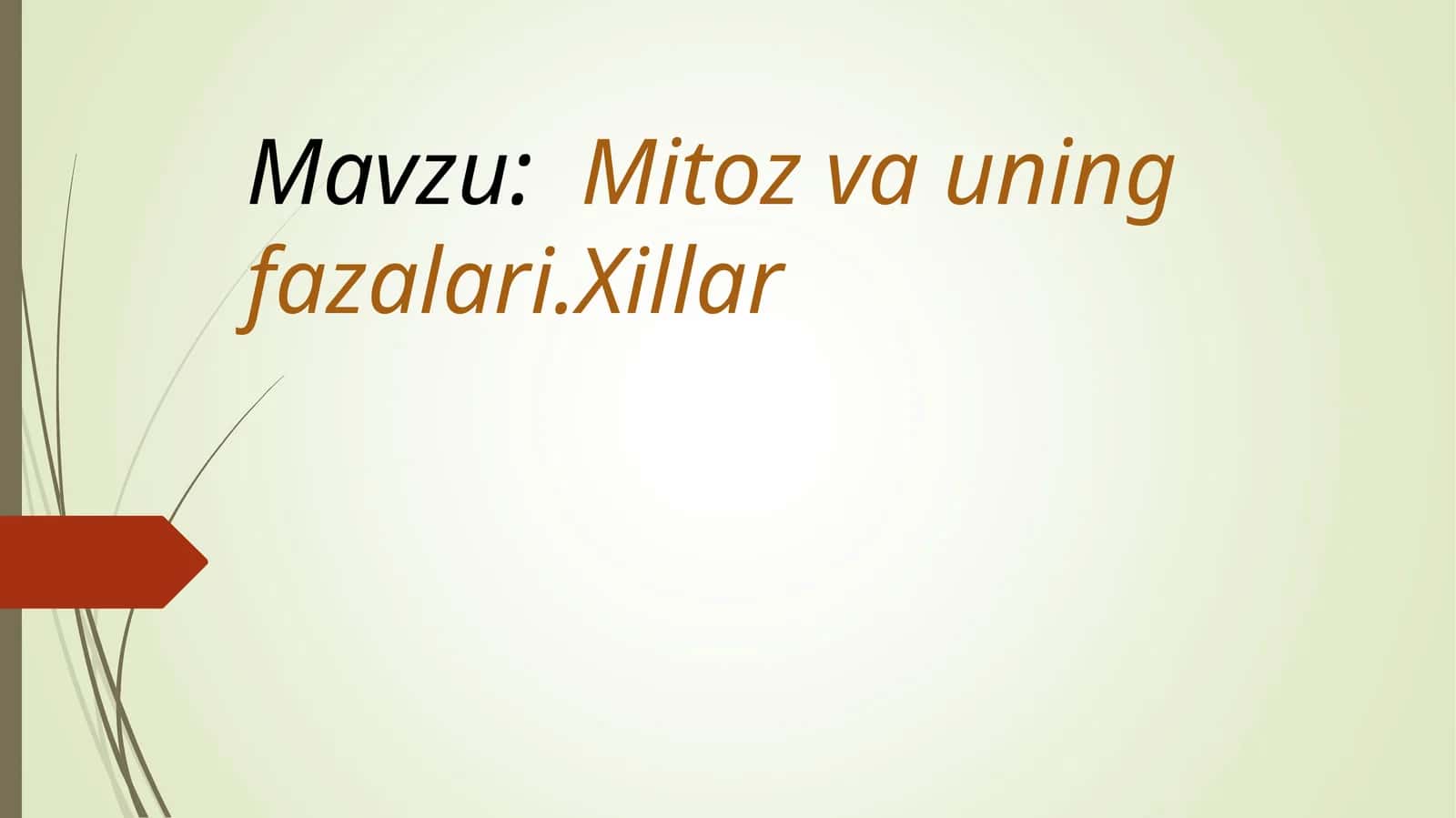 Mitoz va uning fazalari 1