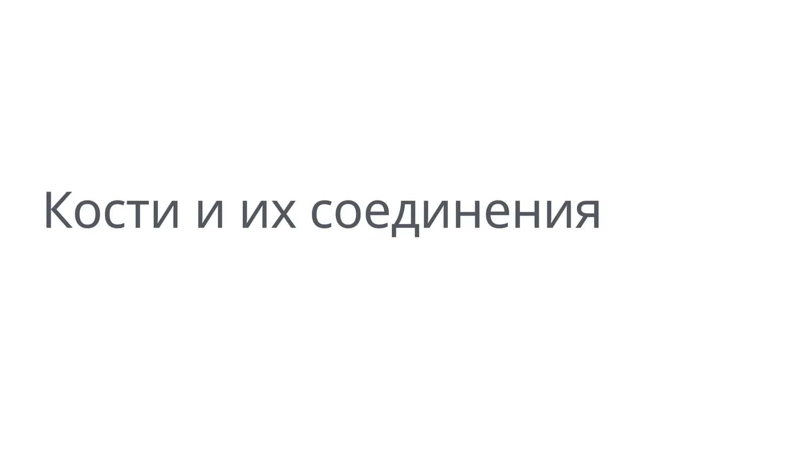 Кости и их соединения 1