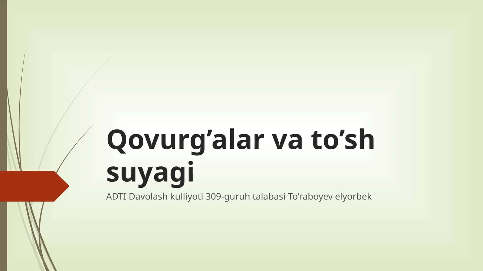 Qovurg’alar vato’sh suyagi 1