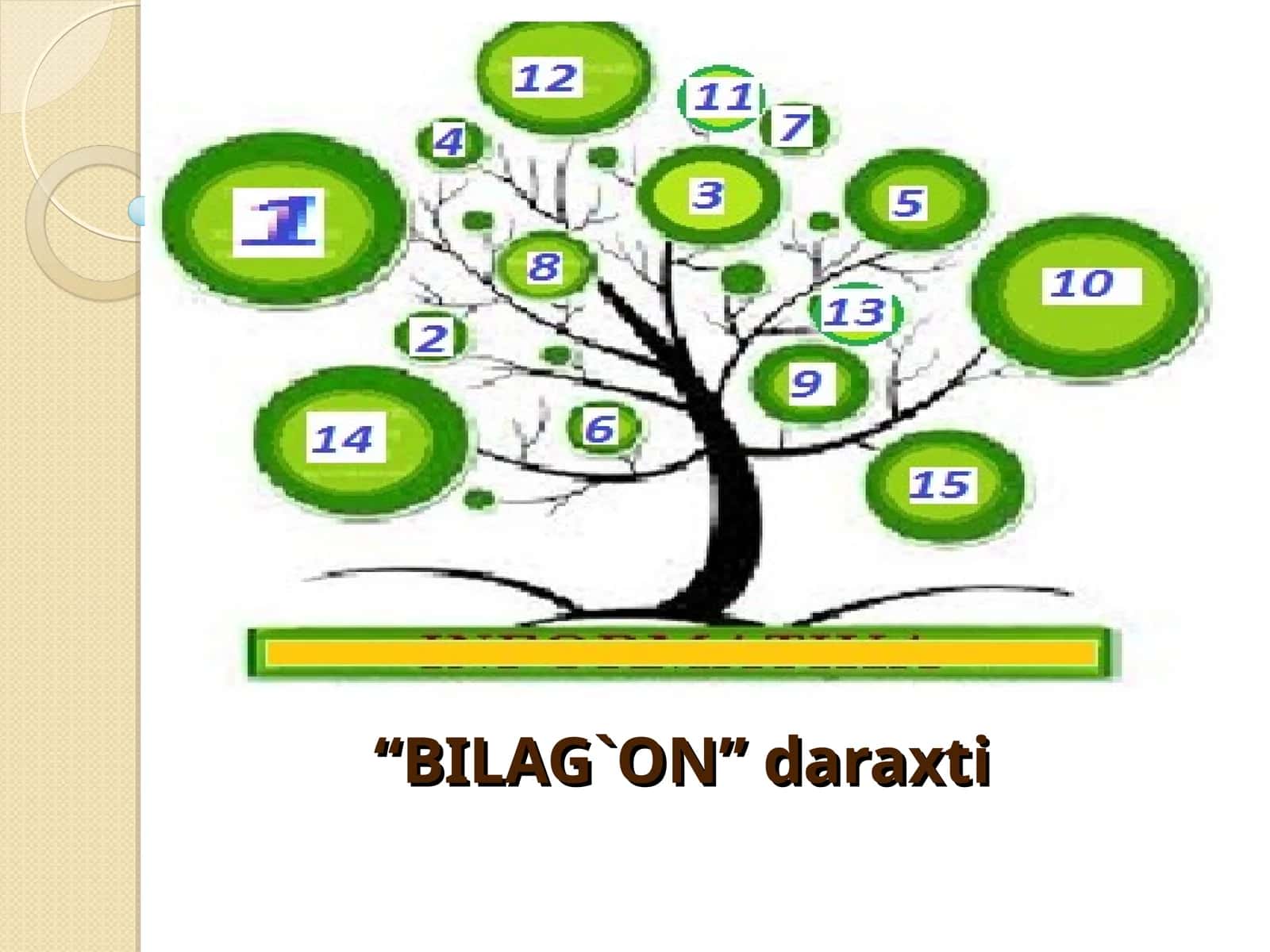 “BILAG`ON” daraxti 1