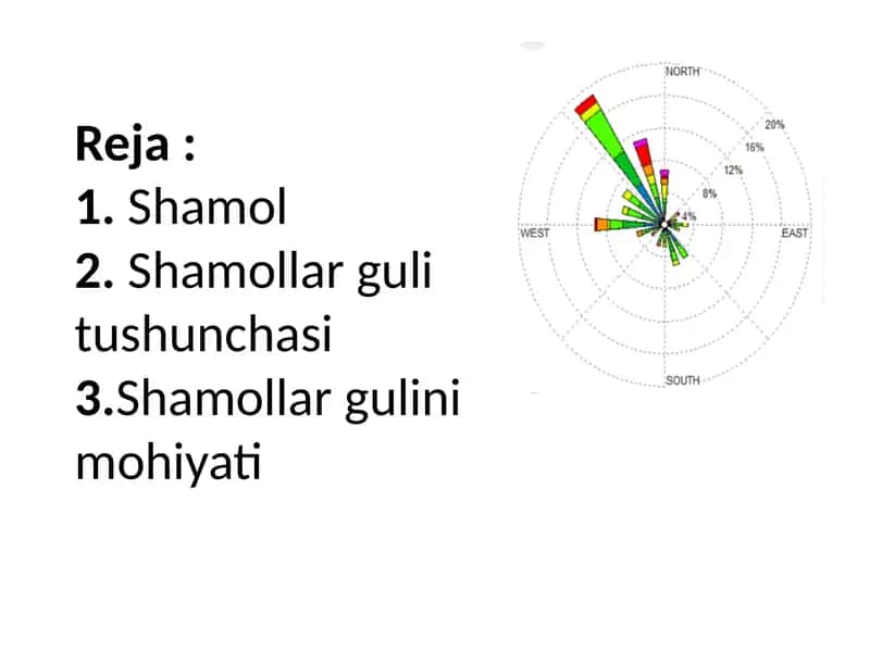 Shamol guli ( qurulishning gigienaik ahamiyati) 1