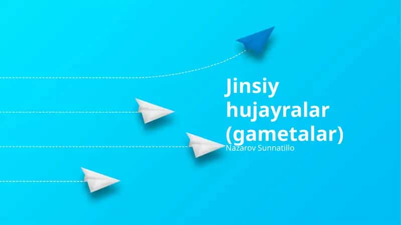 Jinsiy hujayralar (gametalar) 1