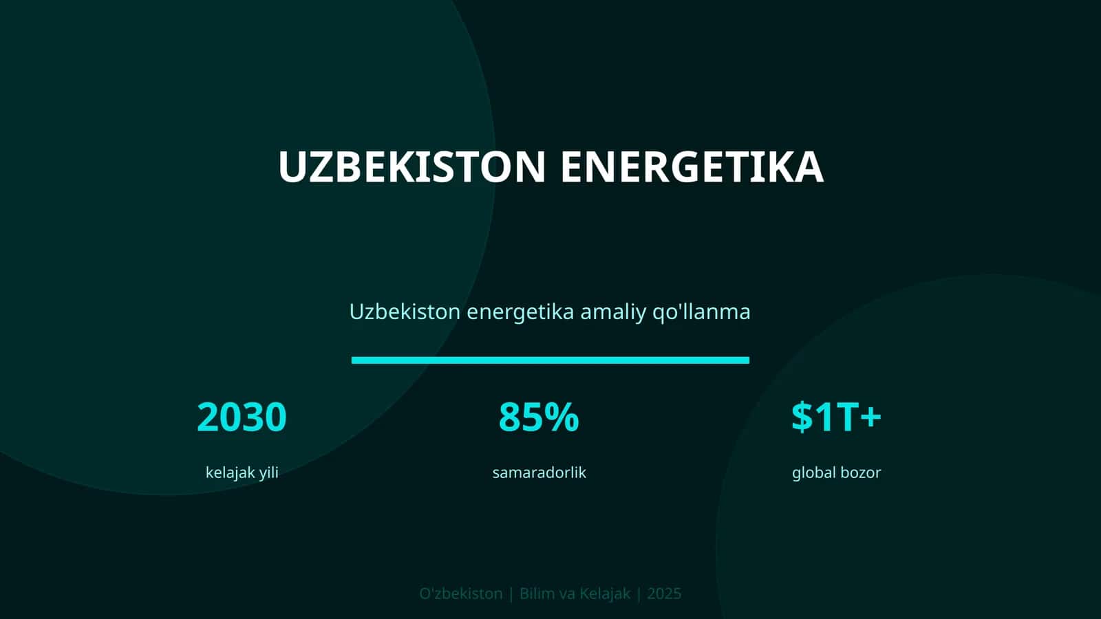 Uzbekiston energetika amaliy qo'llanma 1