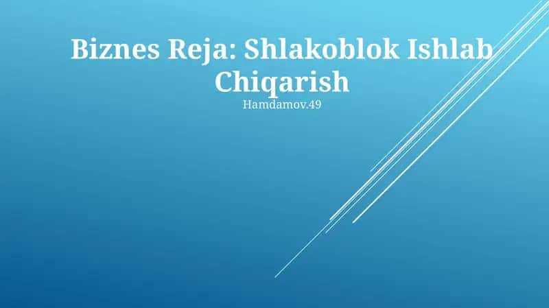 Biznes Reja: Shlakoblok Ishlab Chiqarish 1