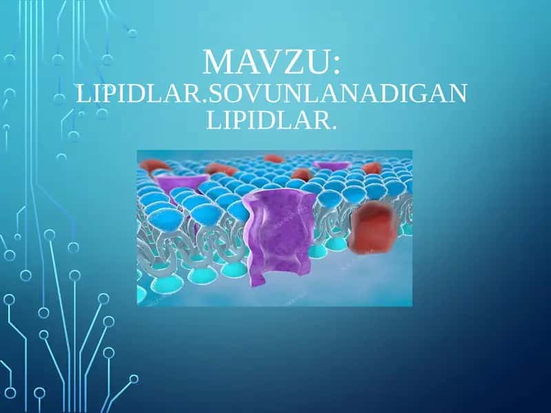 Lipidlar.Sovunlanadiganlipidlar 1