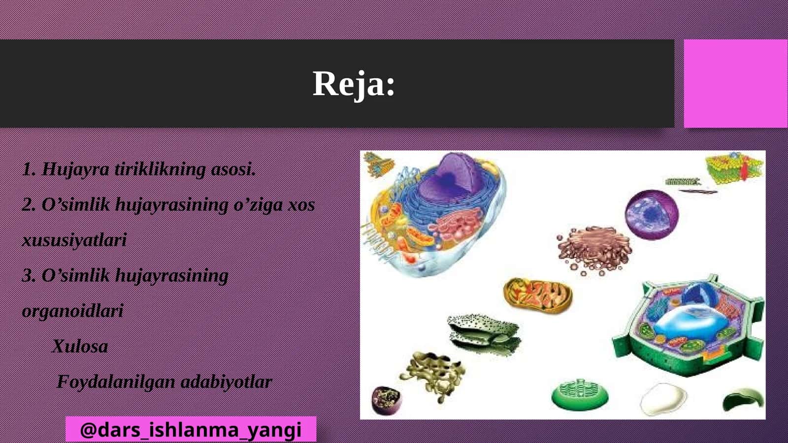Hujayra tiriklikning asosi 1