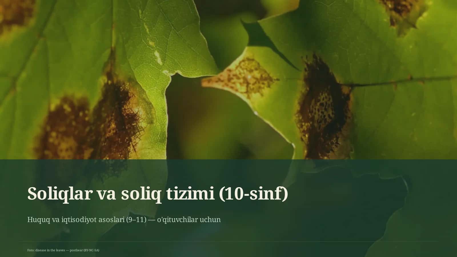 Soliqlar va soliq tizimi (10-sinf) 1