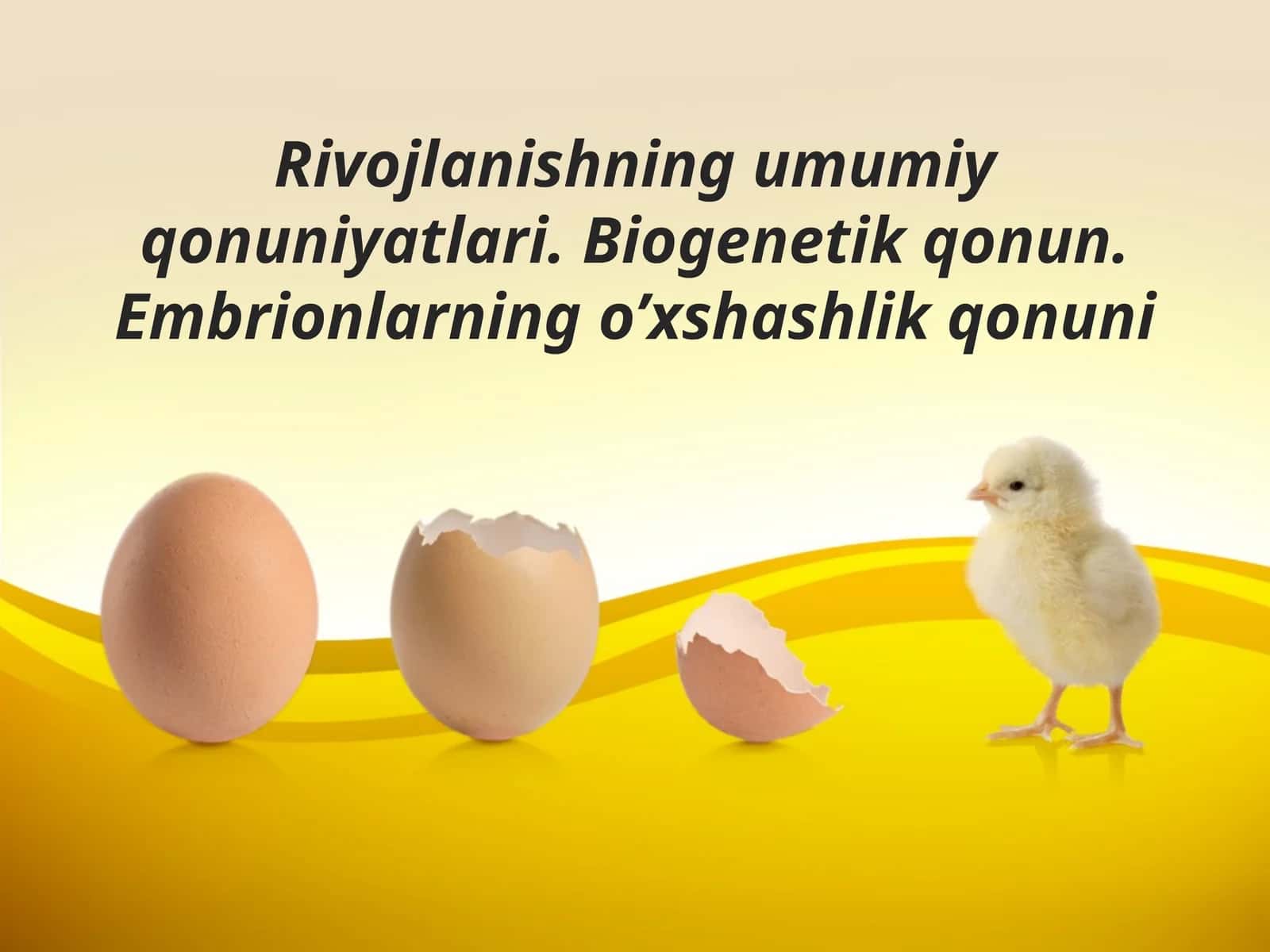 Biogenetik qonun 1