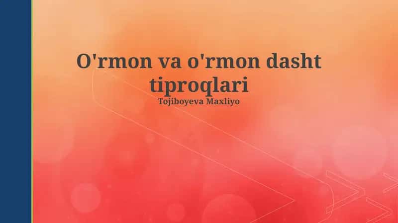 O'rmon va o'rmon dasht tiproqlari 1