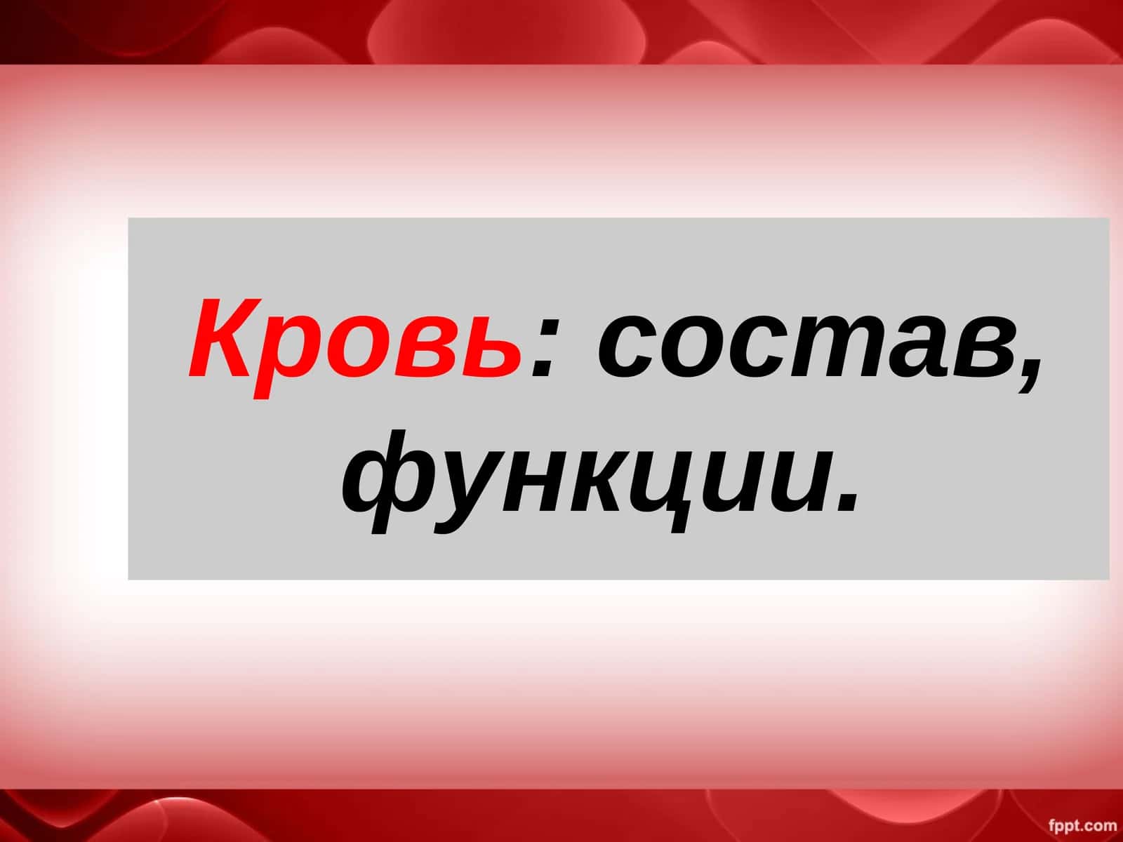 Кровь: состав, функции 1
