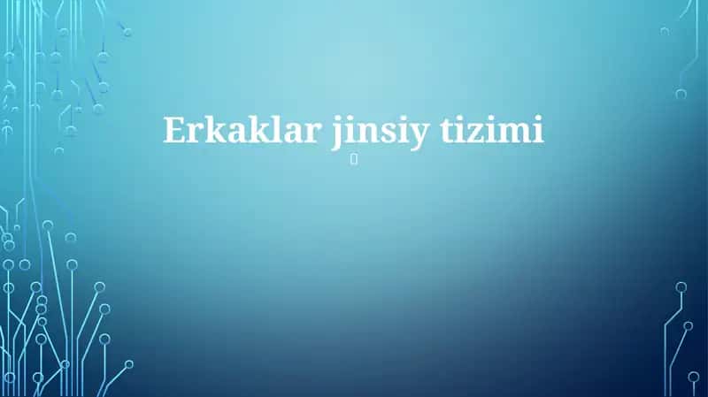 Erkaklar jinsiy tizimi 1