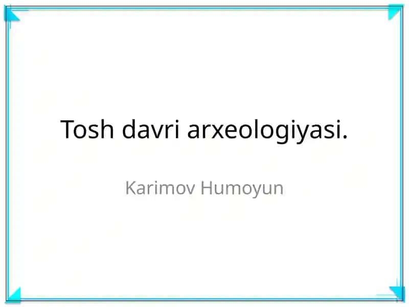 Tosh davri arxeologiyasi