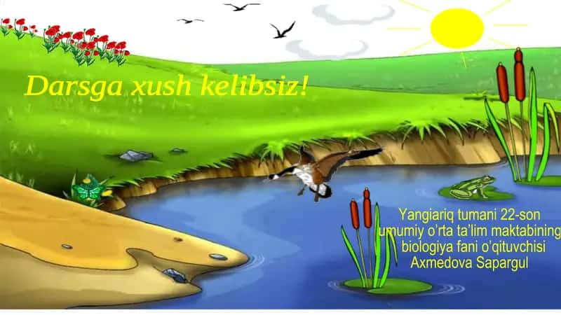 Oshqozon-ichak kasalliklari va ularning oldini olish 1