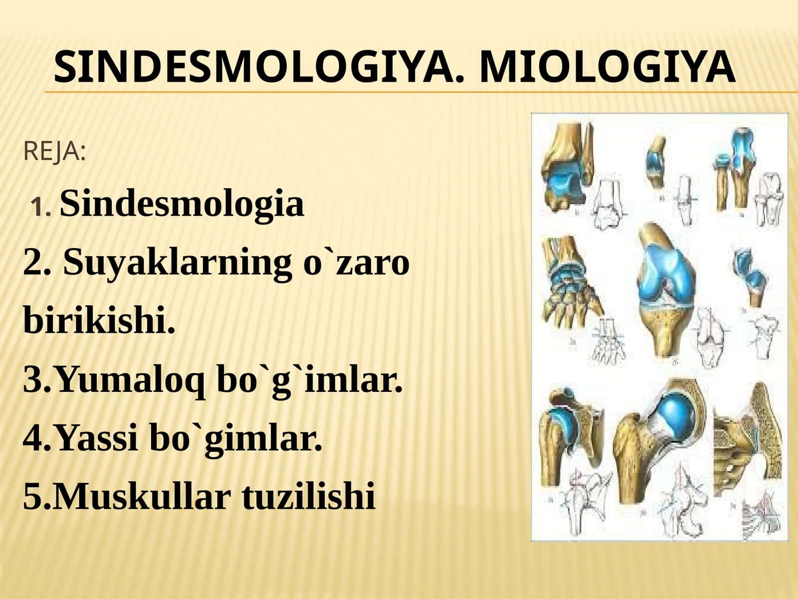 SINDESMOLOGIA 1