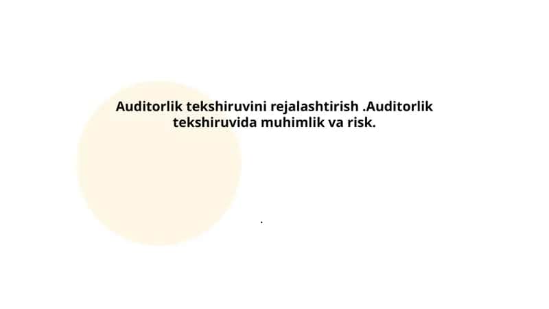 Auditorlik tekshiruvini rejalashtirish 1