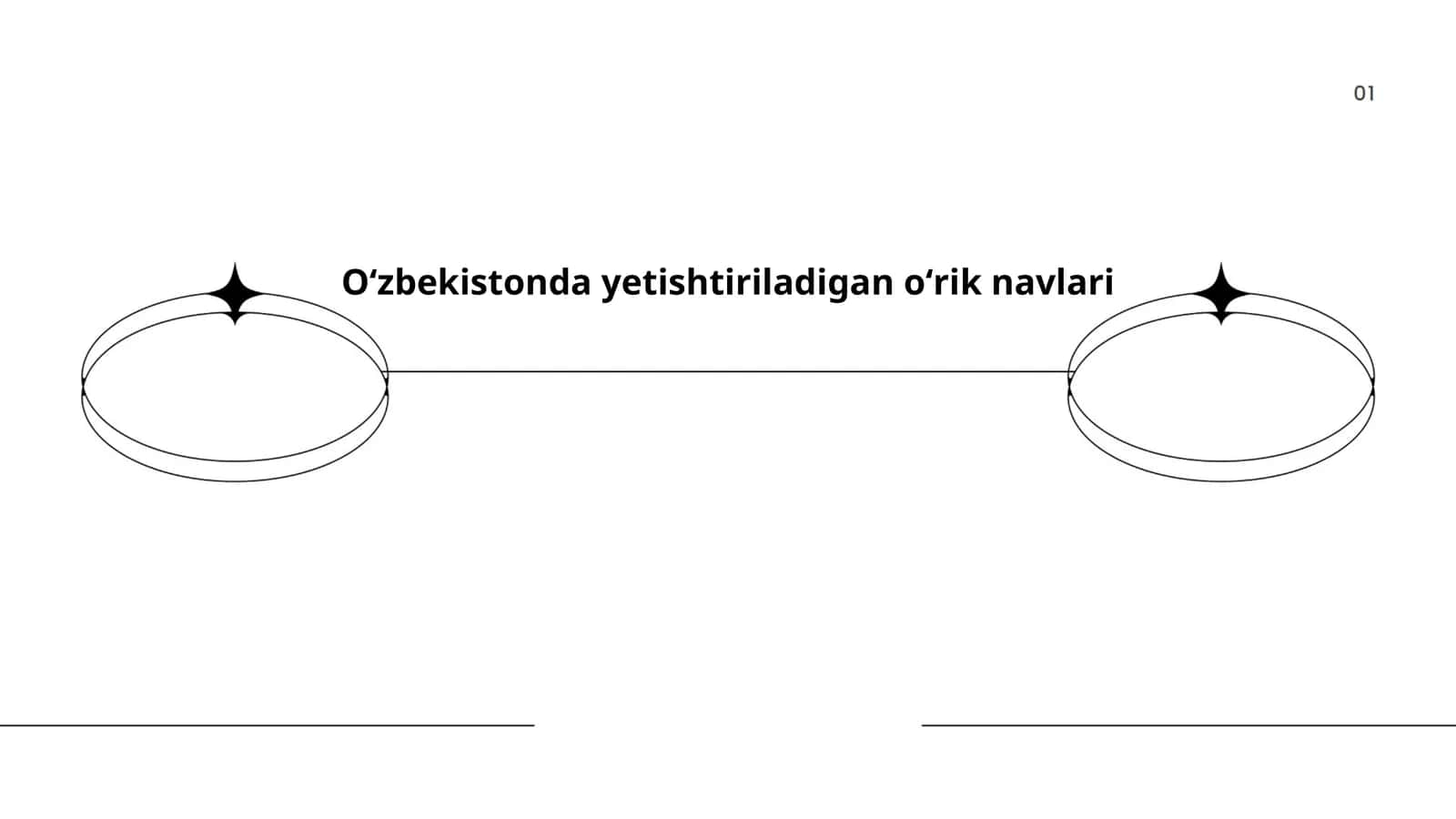 Oʻzbekistonda yetishtiriladigan oʻrik navlari 1
