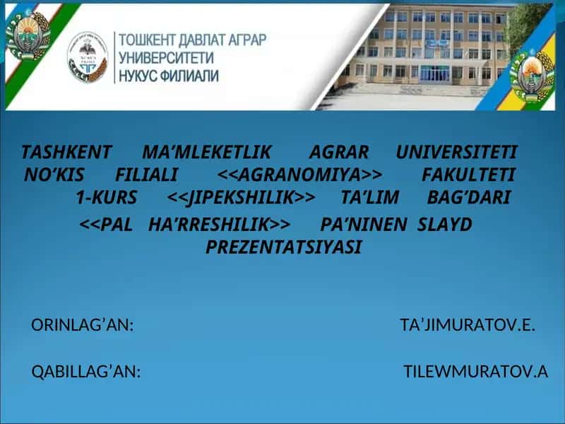 Pal ha’rreler va ularning ishlatilishi 1