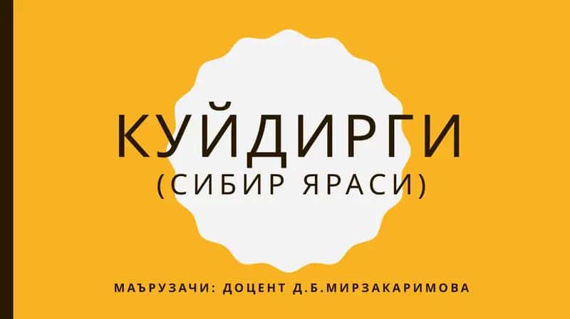 Куйдирги(сибиряраси) 1