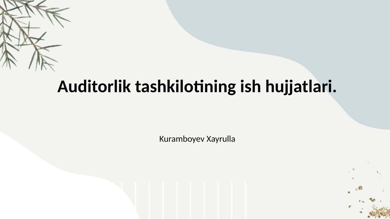 Auditorlik tashkilotining ish hujjatlari. 1