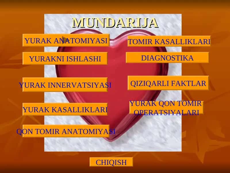 yurak anatomiyasi 1