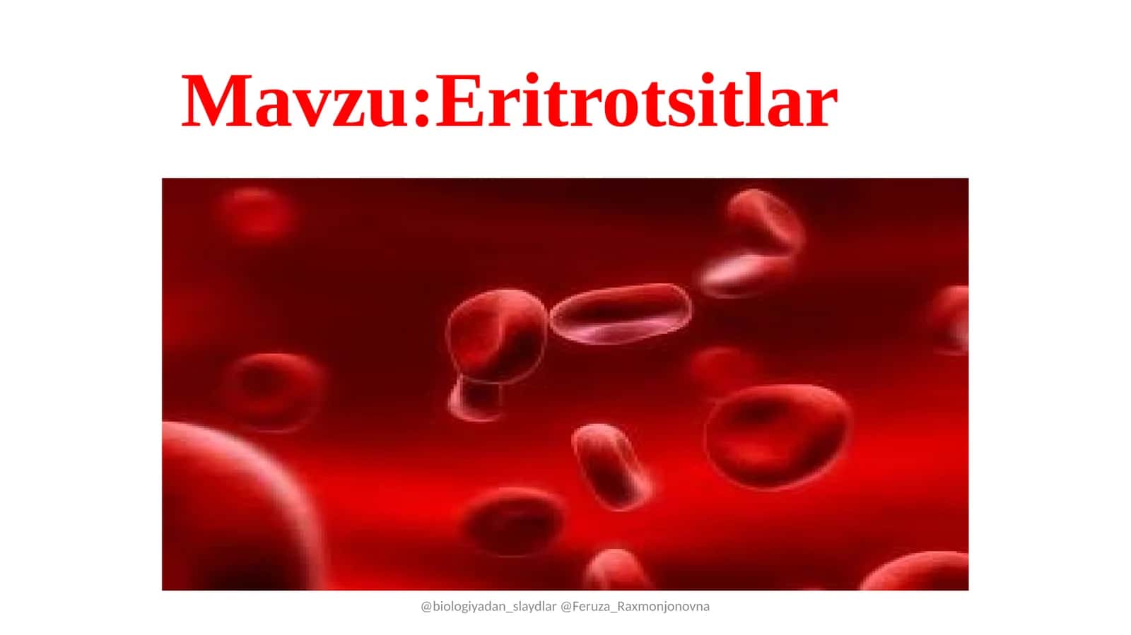 Eritrotsitlar 1