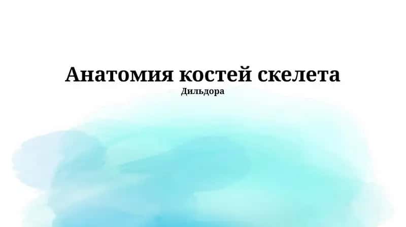 Анатомия костей скелета 1
