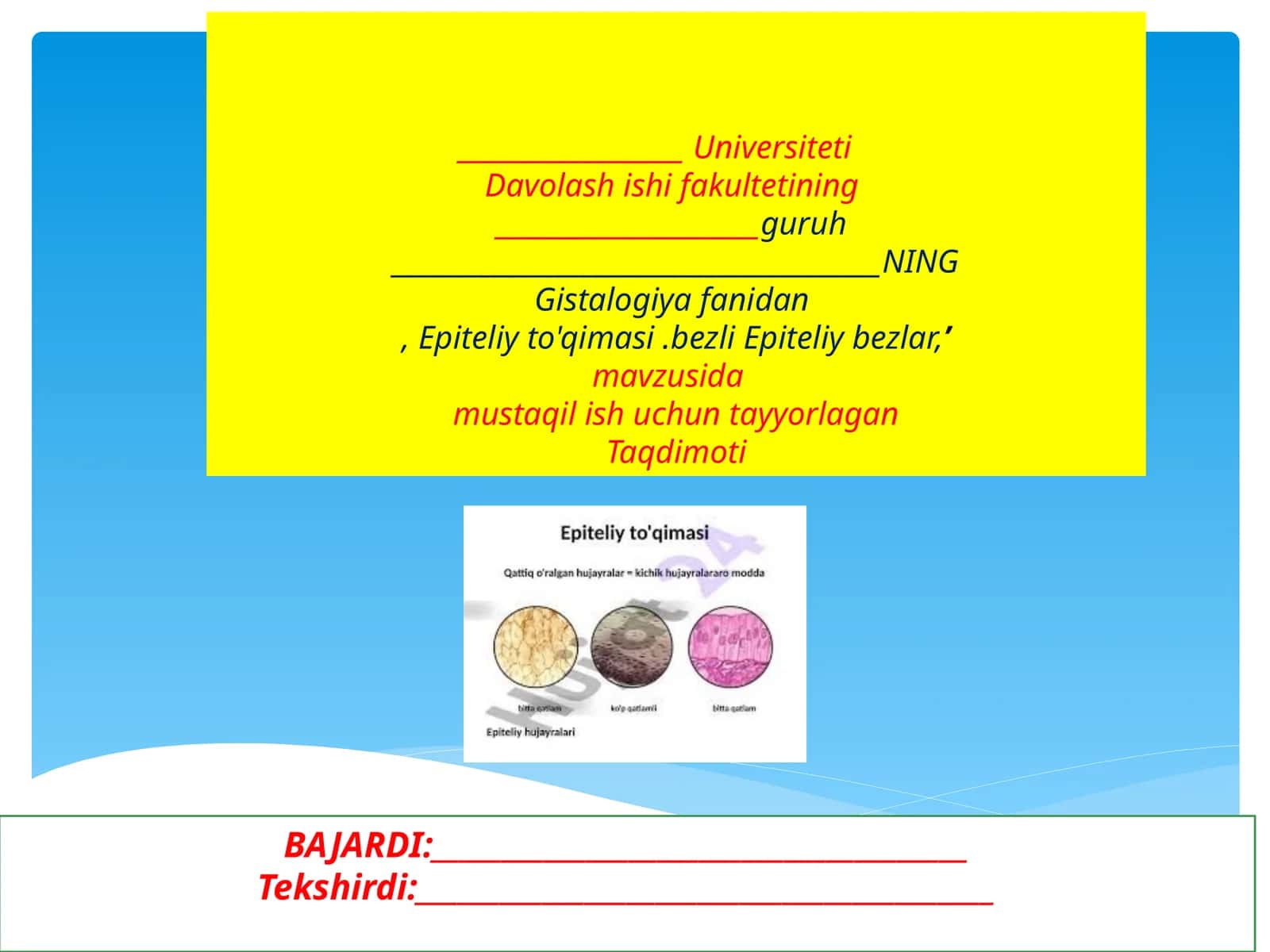 Bezli Epiteliy Bezlari 1