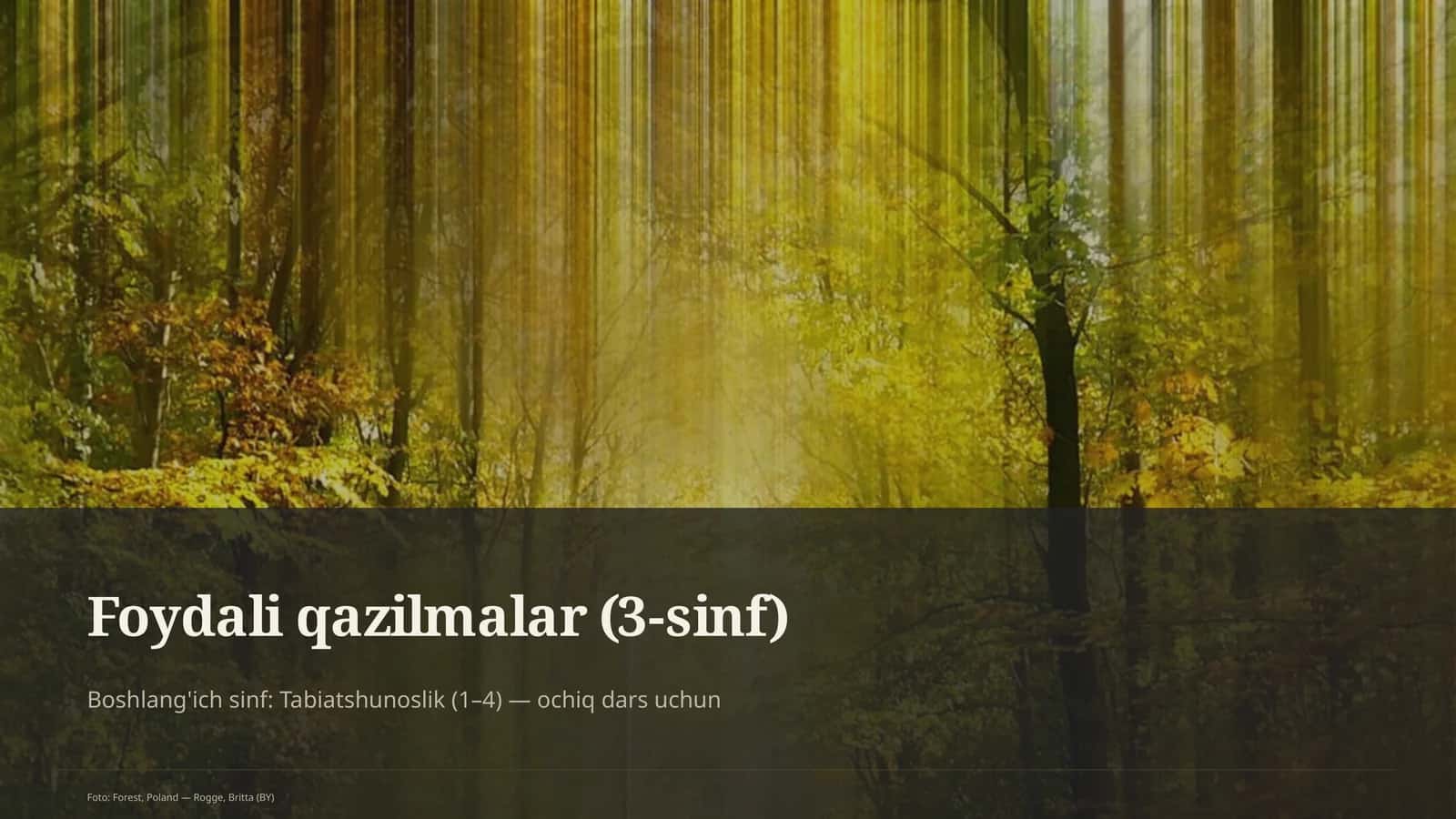 Foydali qazilmalar (3-sinf) 1