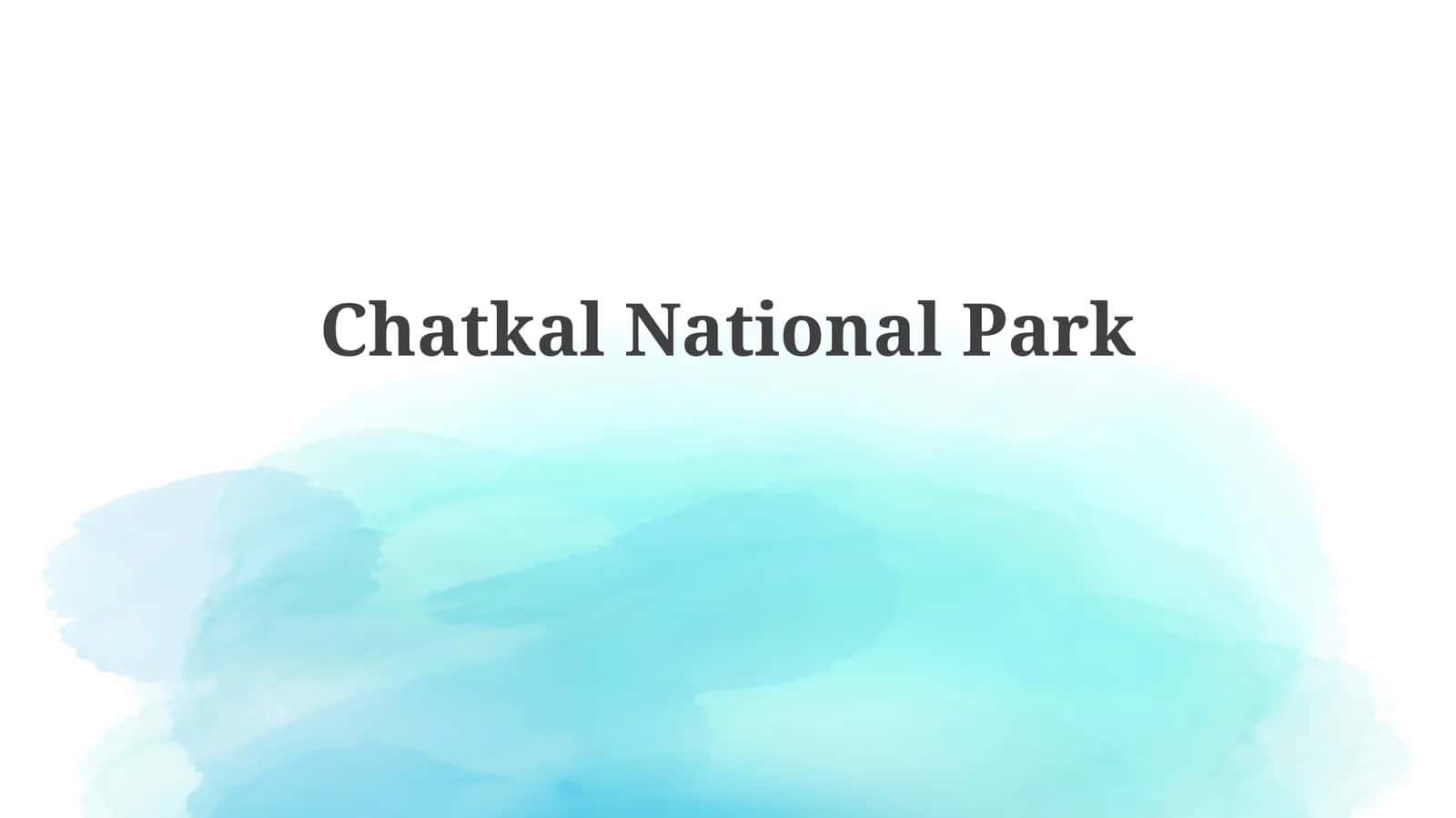 Chatkal National Park 1