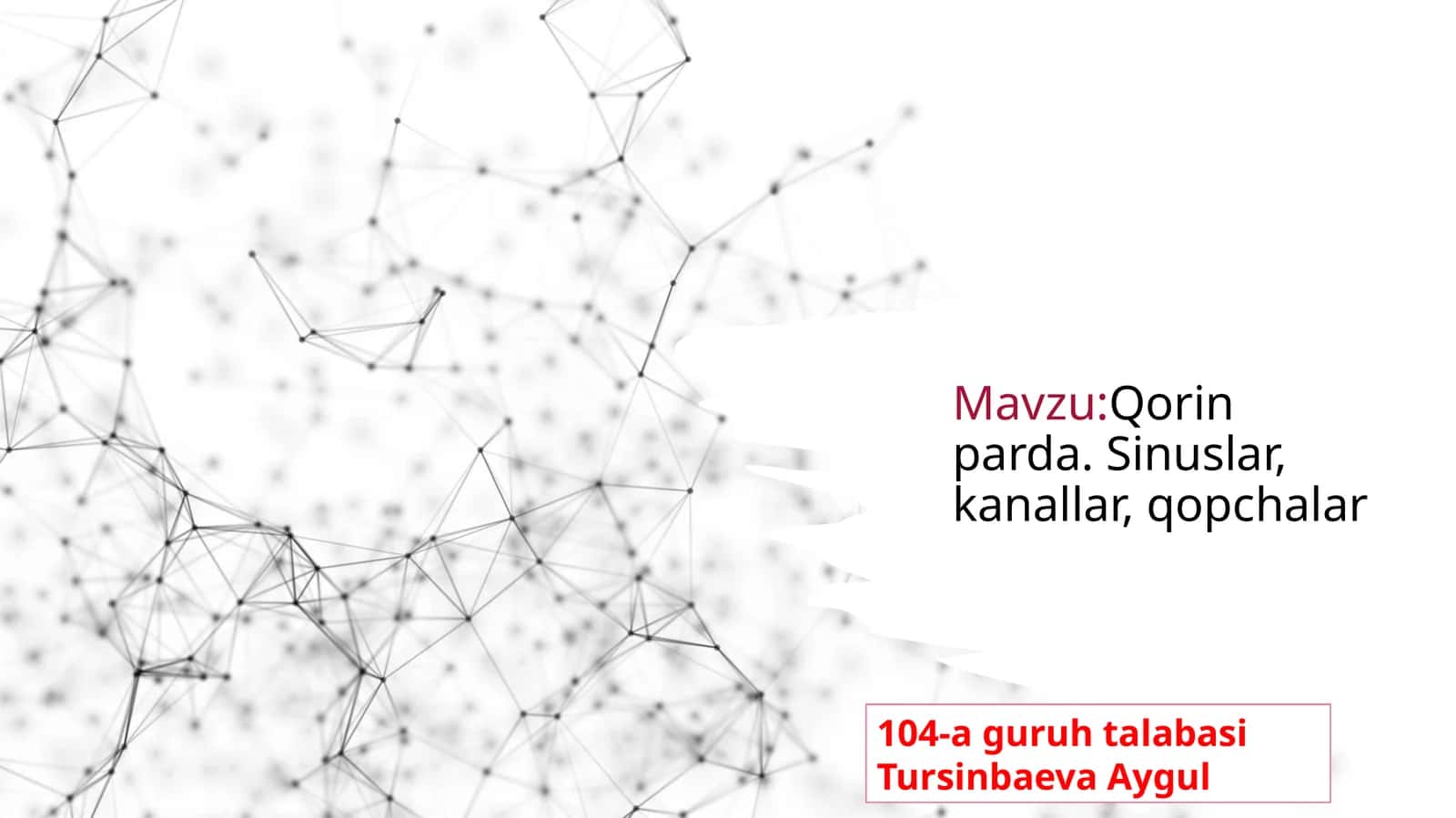 Qorinparda.Sinuslar,kanallar,qopchalar 1
