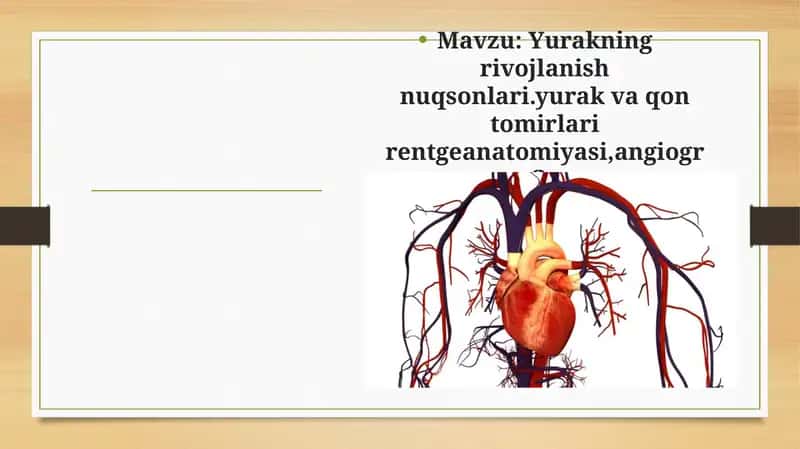 Yurakning rivojlanish nuqsonlari 1